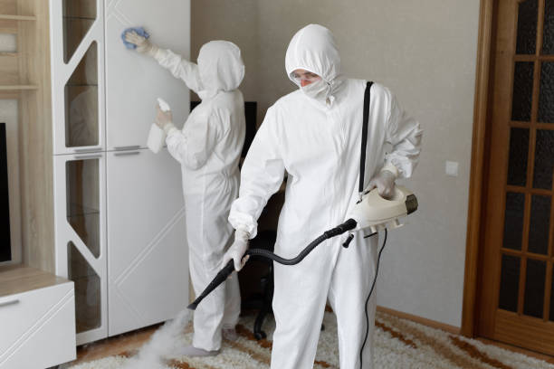 Crawl Space Mold Removal in Stratford Downtown, CT